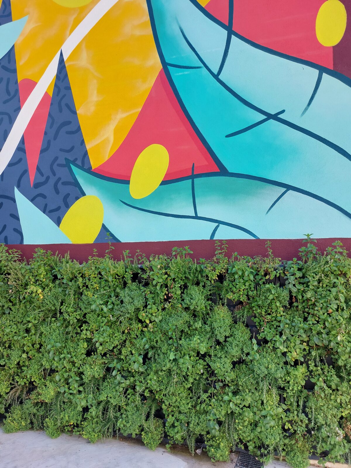 20220606 104113 1200x1600